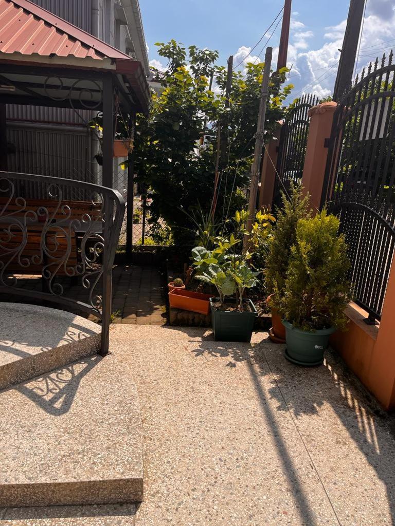 Guest House Chexovi 24 Kobuleti Dış mekan fotoğraf